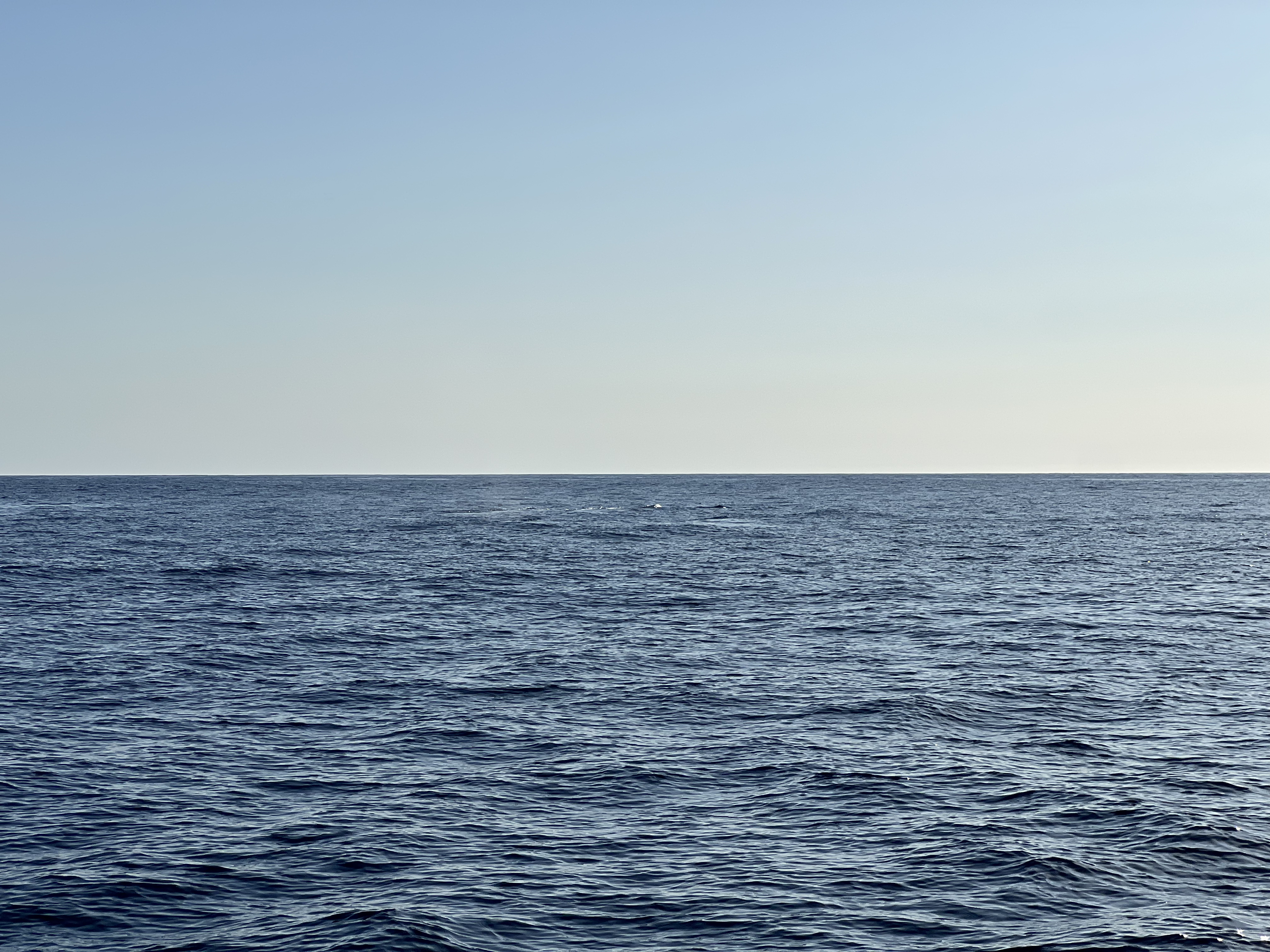 ./2024/13 - Cabo/IMG_4675.jpg